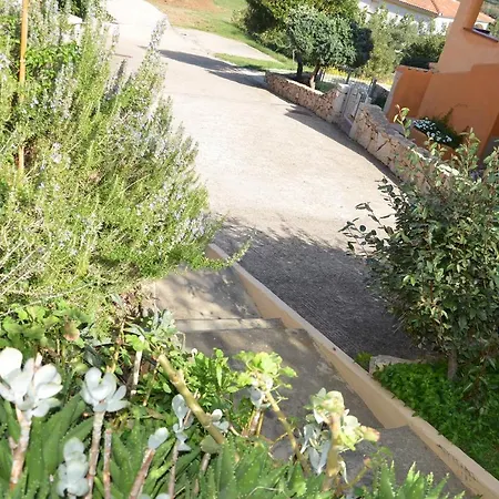 Trilocale Con Ampia Terrazza Con Vista Mare A 1,5 Km Dalle Spiagge Budoni Fbu-bald01 * Tanaunella